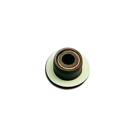 ITB PTFE Plunger Seal, Black, Waters 100 µl Head