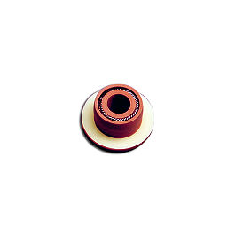ITB PTFE Plunger Seal, Red, Waters 100 µl Head