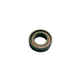 ITB PTFE Plunger Seal, Waters 225 µl Head (#3)